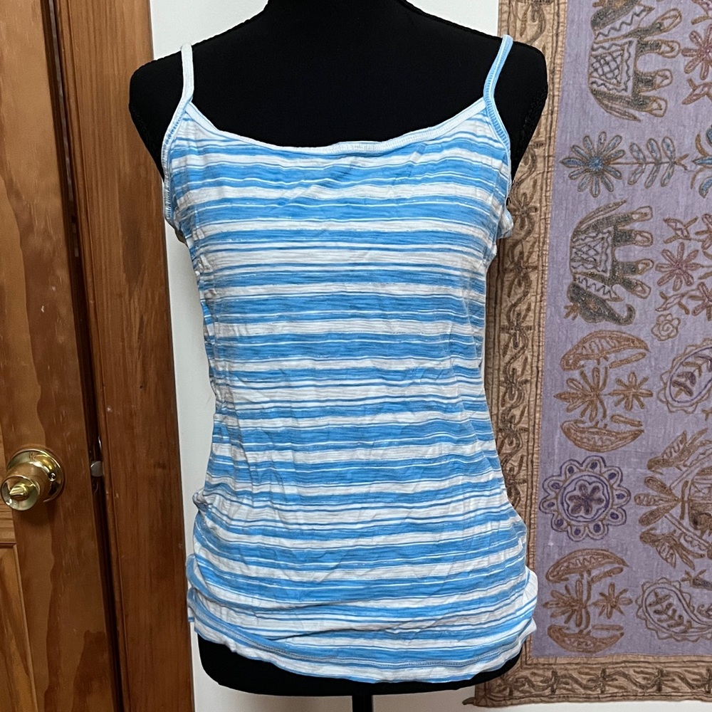 Patagonia Striped Blue and White Camisole Top